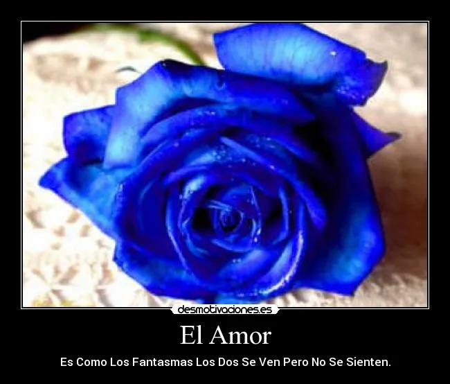 Imagenes rosas azules con frases - Imagui