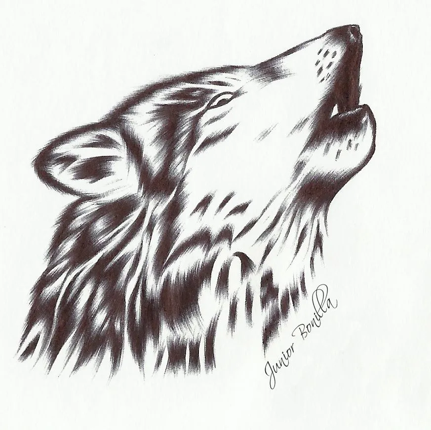 AMOR, DOLOR y NOSTALGIA | Dibujos y retratos a lapicero AMOR, DOLOR y NOSTALGIA | Dibujos y retratos a lapicero