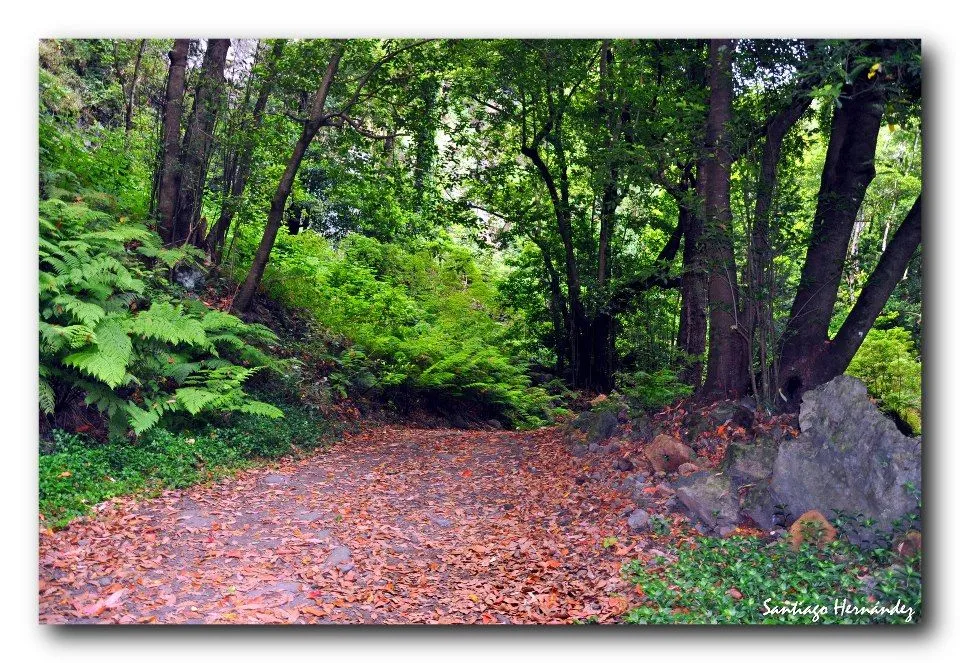 El Amor como esencia y la trascendencia.: "CAMINOS Y LUGARES DE ...