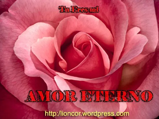 Tu Eres Mi Amor Eterno | AMOR ETERNO ...