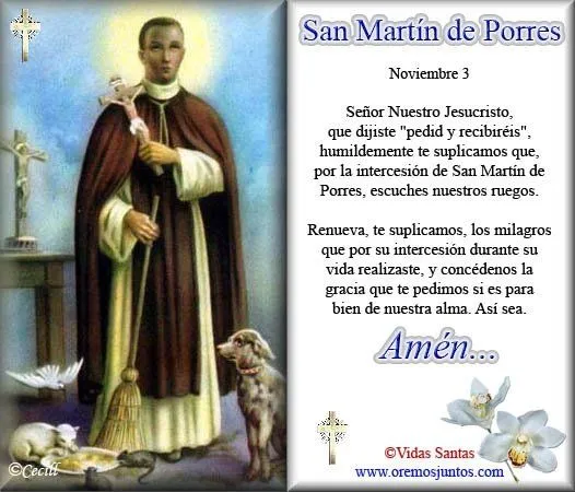 AMOR ETERNO: San Martín de Porres - Fiesta Noviembre 3 AMOR ETERNO: San Martín de Porres - Fiesta Noviembre 3