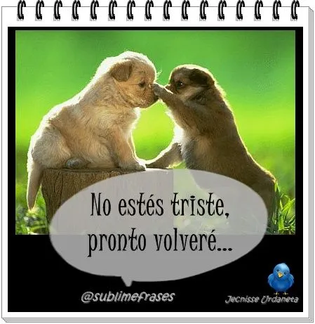 amor #frases #frasescortas | sublimefrases