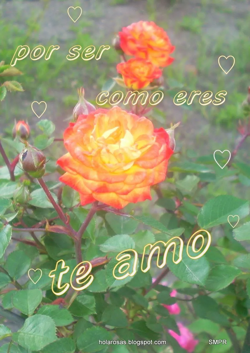 imagenes con frases imagenes de amor imagenes de amor con frases ...