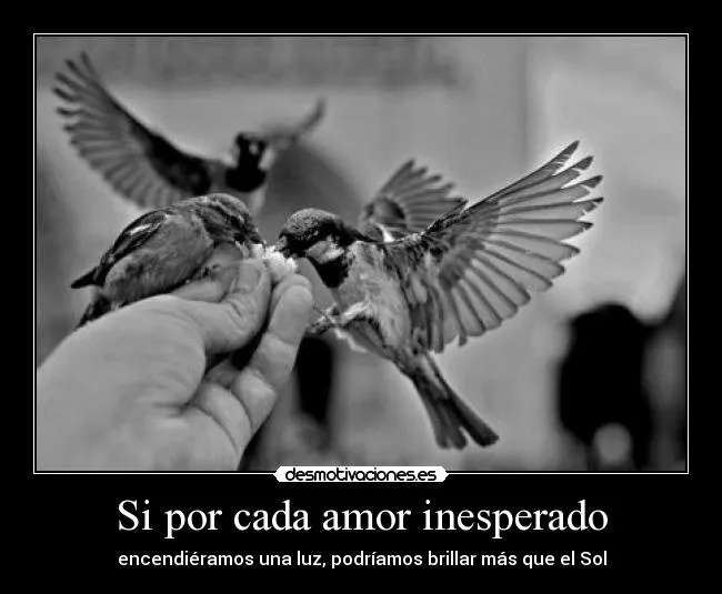 Si por cada amor inesperado | Desmotivaciones