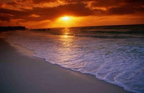 PLAYA NORTE | Isla del Carmen