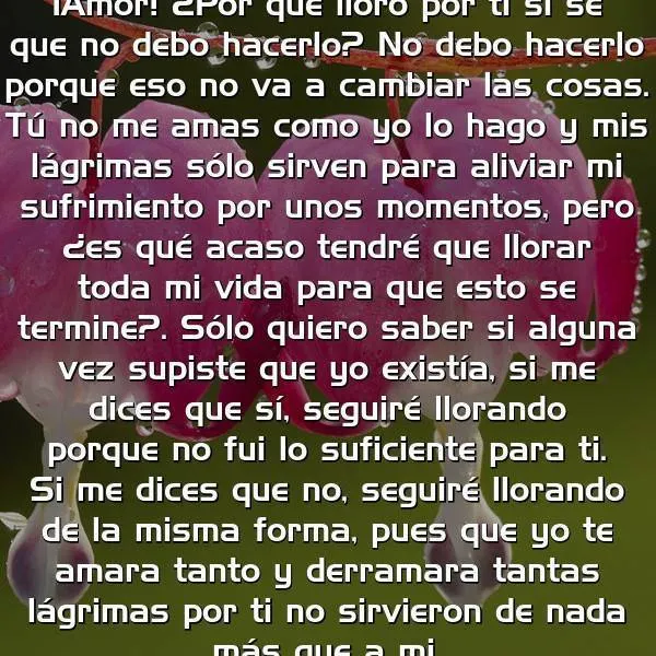 Amor Por qué lloro por ti si sé | Frases Con Imágenes