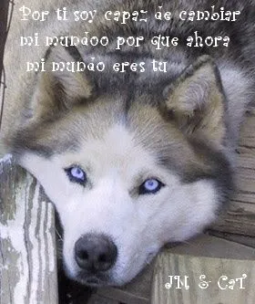 Amor Entre Lobos: Amor entre Lobos