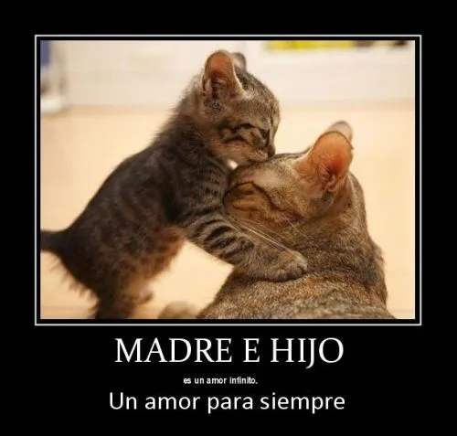 El AmOr De MaDrE Es - MamásLatinas