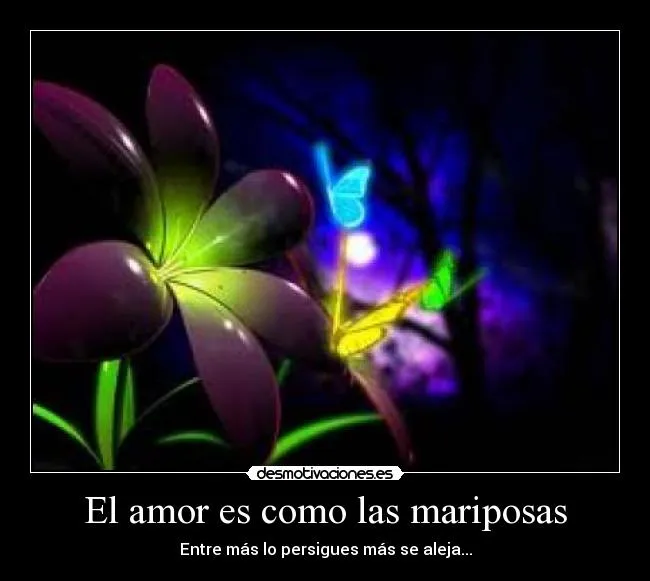 El amor es como las mariposas | Desmotivaciones