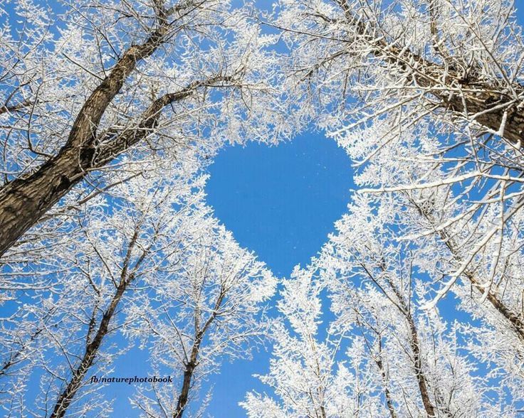 Buenos dias amor mio!! | Amor... | Pinterest Buenos dias amor mio!! | Amor... | Pinterest