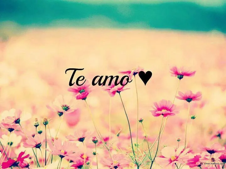 Amor❤   on Pinterest | Te Amo, Te Quiero and Frases
