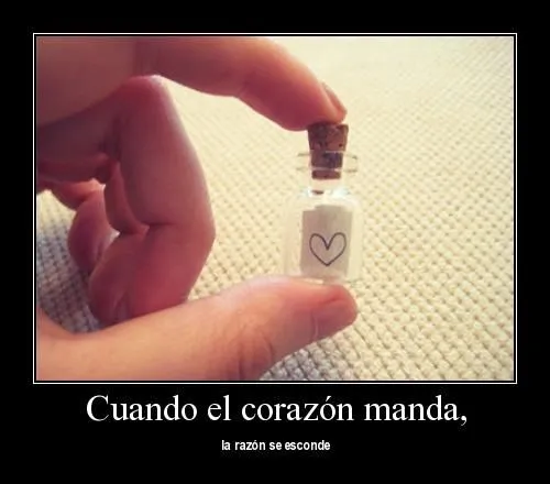 El amor y la razón | Te Amo Web - Imagenes de amor El amor y la razón | Te Amo Web - Imagenes de amor