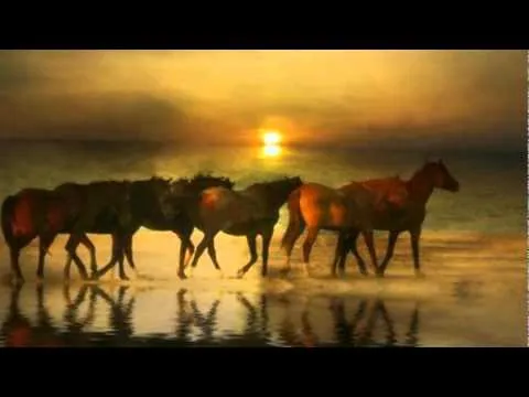 Amor Salvaje-Feliz Cumpleaños Vaquero!!! - YouTube