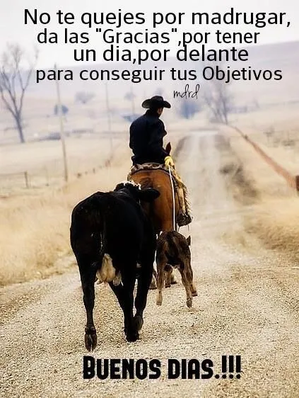 El amor vaquero | Quotes | Pinterest | El Amor and Amor