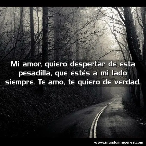 Todo sobre amor y Variedades : Imágenes de amor con lindas frases ...