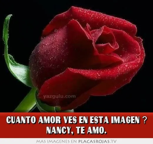 CUANTO AMOR VES EN ESTA IMAGEN ? NANCY, TE AMO. - Placas Rojas TV CUANTO AMOR VES EN ESTA IMAGEN ? NANCY, TE AMO. - Placas Rojas TV