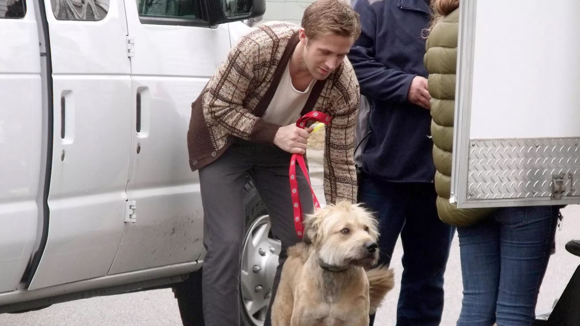 El amor de su vida: Así era George, el perro de Ryan Gosling - Paloma &  Nacho
