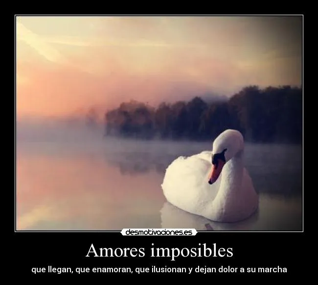 Amores imposibles | Desmotivaciones Amores imposibles | Desmotivaciones