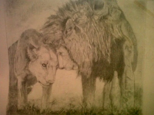 amor.leones a lapiz | Lápiz y papel