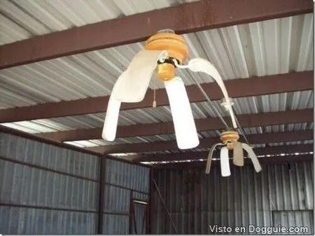 &lt; Cuando hace CALOR &gt; - imagenes graciosas,bonitas y ...
