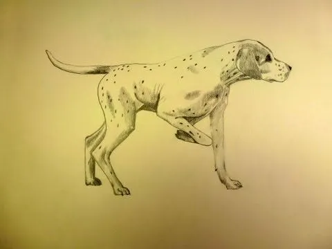 dibujo perro on Veengle
