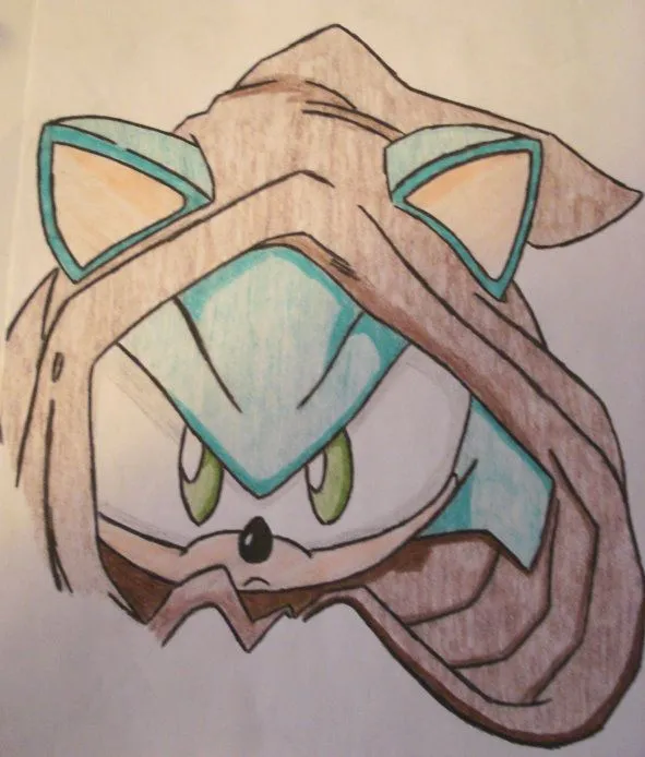 Amy Rose un Sueño de Amor: C.S.I. Green Hill Amy Rose un Sueño de Amor: C.S.I. Green Hill