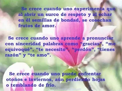 Ana eliz Lopez - Google+