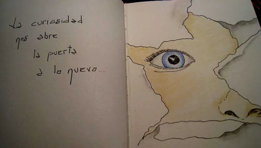 AnAis y más: enero 2011