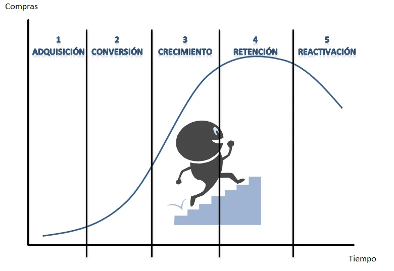 Análisis De Ciclo De Vida - BacaIndo.xyz