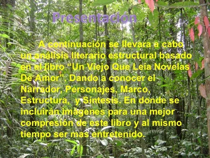 Análisis Literario Estructural - "Un Viejo Que Leía Novelas ... Análisis Literario Estructural - "Un Viejo Que Leía Novelas ...