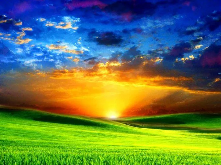 ANAMCARA CENTROS DE ENERGÍA: ¿AMOR O NECESIDAD? En estas fechas...