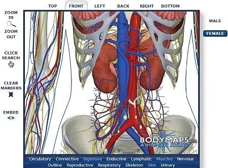 ANATOMIA DEL CORPO UMANO IN 3D CON ORGANI E MUSCOLI | BUONGIORNO TECH ANATOMIA DEL CORPO UMANO IN 3D CON ORGANI E MUSCOLI | BUONGIORNO TECH