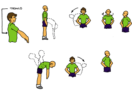 Algo más sobre Anatomía: MOVIMIENTOS DEL CUERPO HUMANO Algo más sobre Anatomía: MOVIMIENTOS DEL CUERPO HUMANO