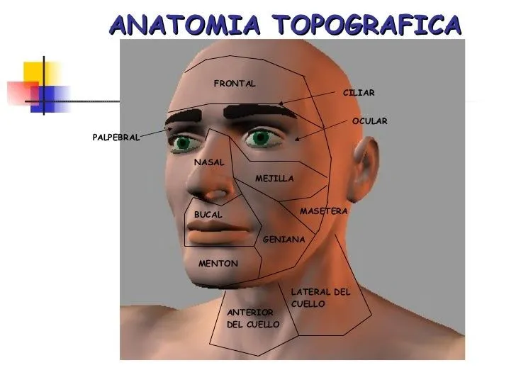 anatomia-topografica-forense- ...