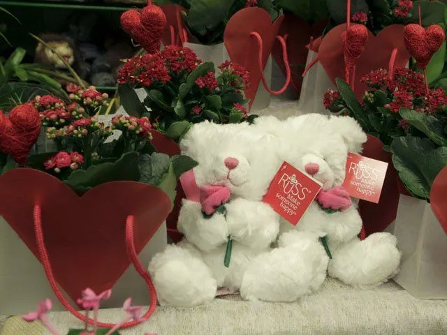 Áncash: Rosas y peluches invaden tiendas y mercados de Chimbote Áncash: Rosas y peluches invaden tiendas y mercados de Chimbote