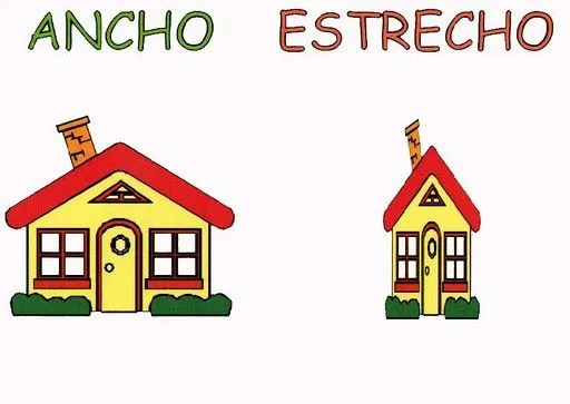 Nocion ancho angosto para niños - Imagui
