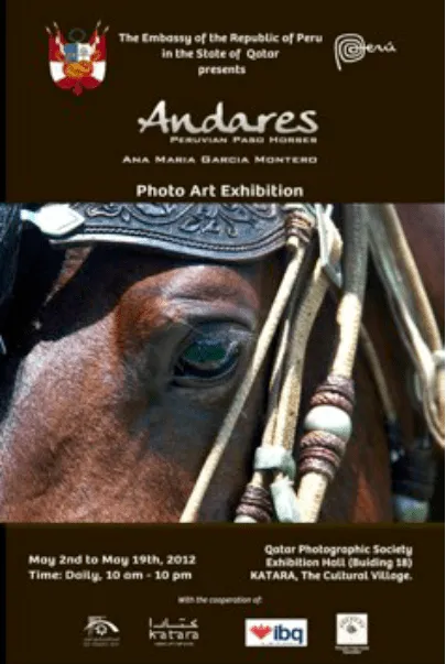 ANDARES: El Caballo Peruano de Paso cautiva al público árabe en ... ANDARES: El Caballo Peruano de Paso cautiva al público árabe en ...