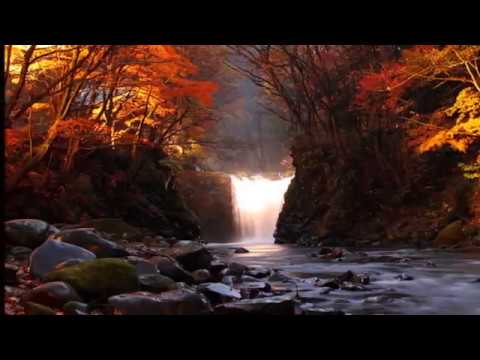ANDRE RIEU SERENATA EN BELLAS CASCADAS DEL MUNDO DJ KIKITO - YouTube ANDRE RIEU SERENATA EN BELLAS CASCADAS DEL MUNDO DJ KIKITO - YouTube