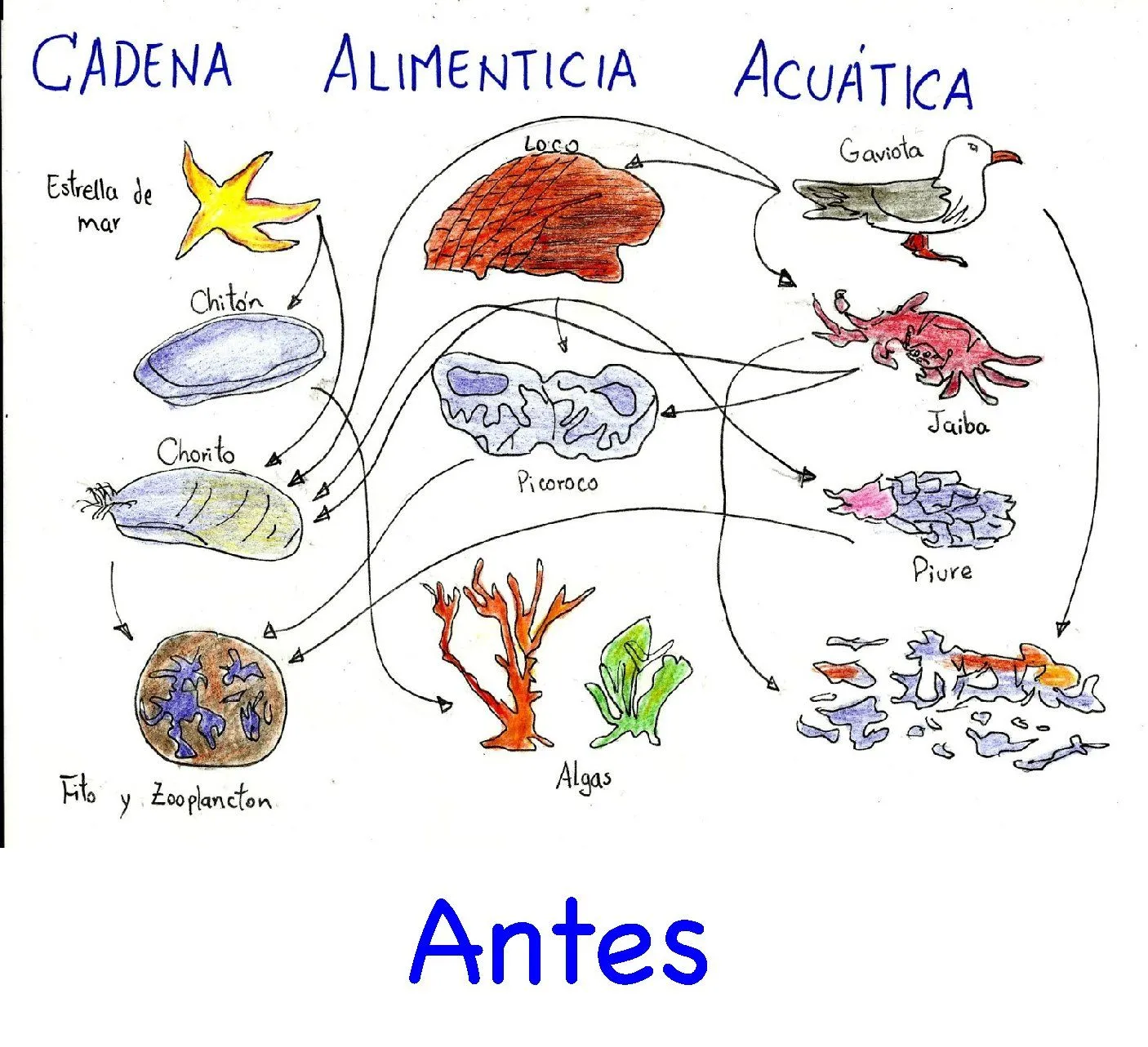 Andrés Ospina @andresospina@fediscience.org on X: Andrés Ospina @andresospina@fediscience.org on X: