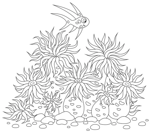 anémonas y peces coralinos — Vector stock © AlexBannykh #40615811