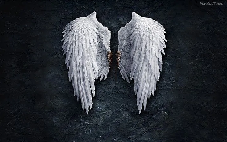 Angel | ... Fondos de pantalla alas de angel hd widescreen Gratis ... Angel | ... Fondos de pantalla alas de angel hd widescreen Gratis ...