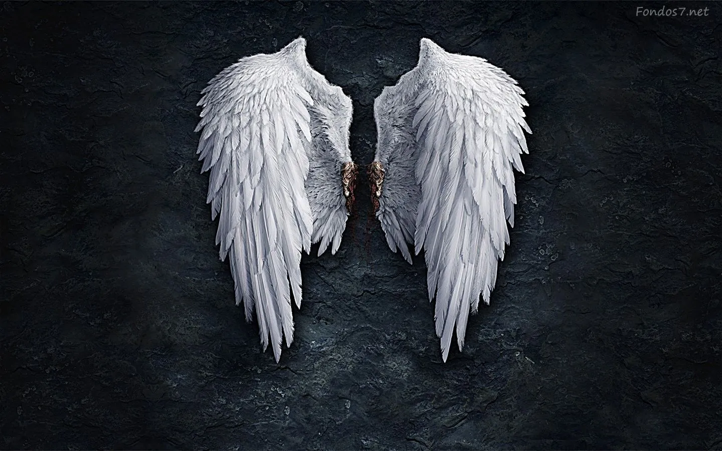 Angel | ... Fondos de pantalla alas de angel hd widescreen Gratis ...