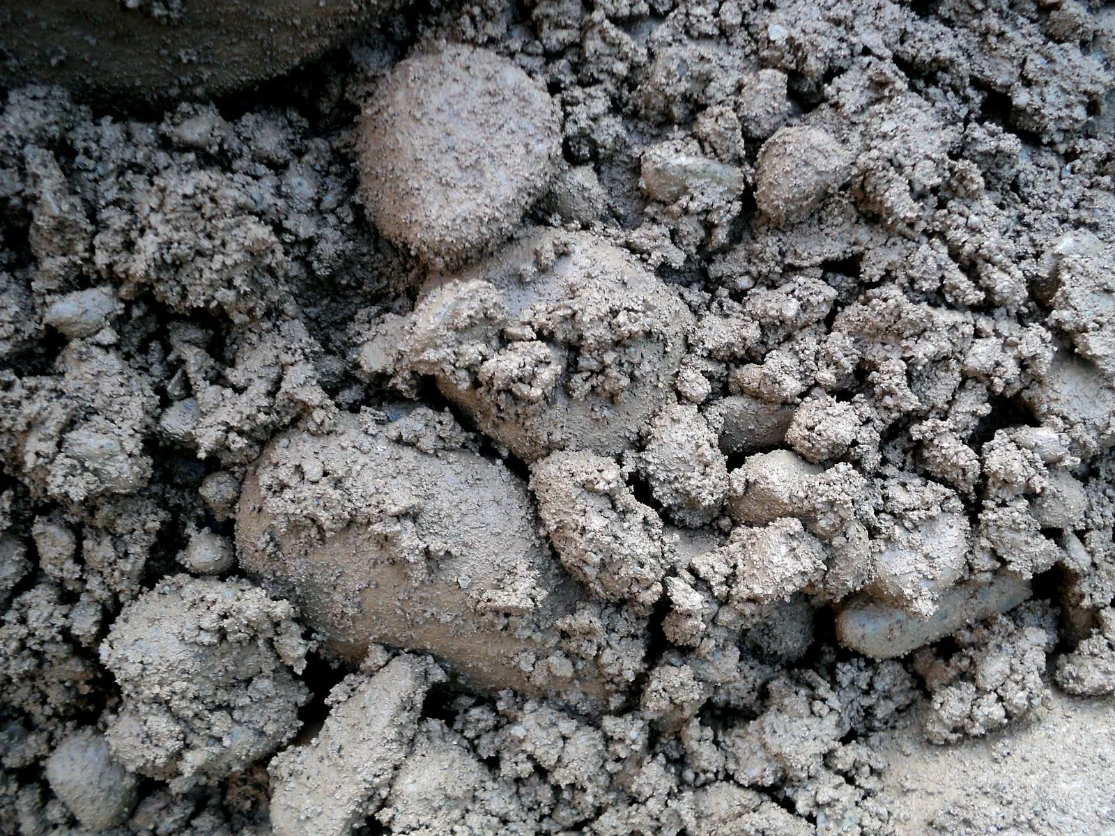 Ángela Ibarra: Texturas naturales y artificiales