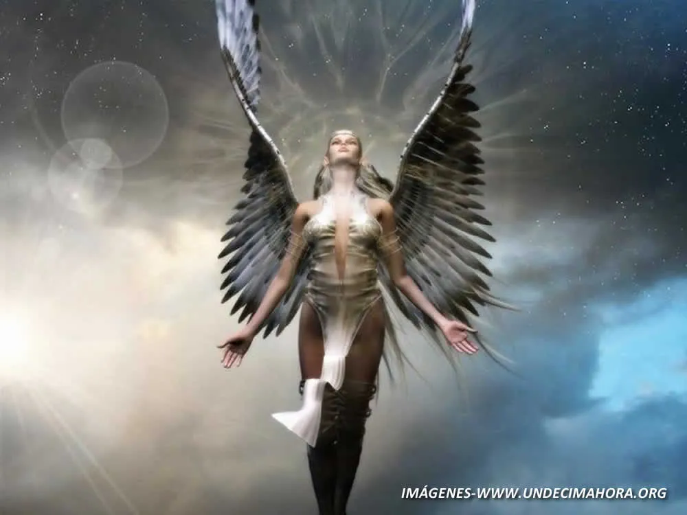 Ángeles y Demonios | PiLees