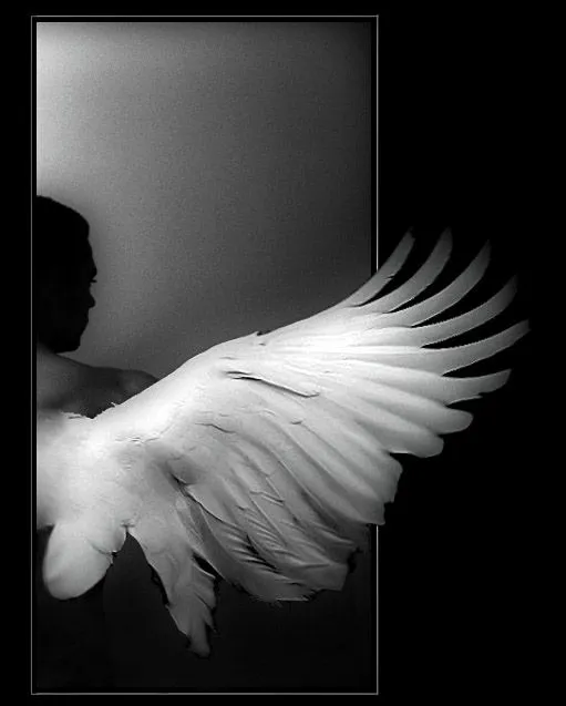 Ángeles Entre Nosotros. | Páginas Sueltas y de Colores