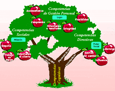 AngelRojas III: ARBOL DE PROBLEMAS