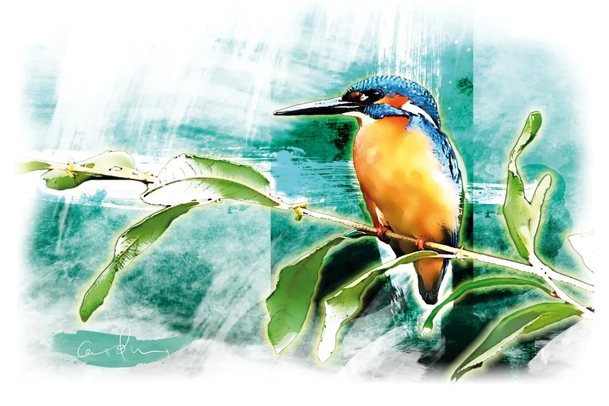 ... Animación Carolum Art": Laminas 02 - "Guarda Rios". arte digital