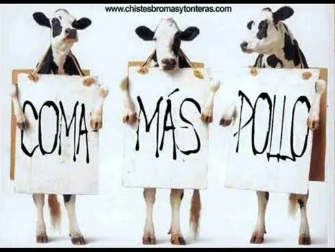 animaciones-chistosas_imagenGrande « Totao56.Net || Los Moyetos ||