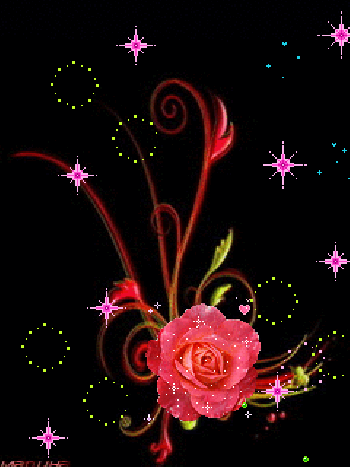 Animaciones Con Rosas O Flores Con Brillo Y Destello Animaciones Con Rosas O Flores Con Brillo Y Destello