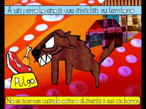 Animados de Bienestar Animal (perros y gatos) - Taringa!